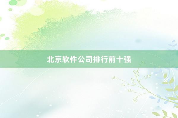 北京软件公司排行前十强
