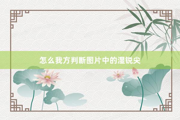 怎么我方判断图片中的湿锐尖