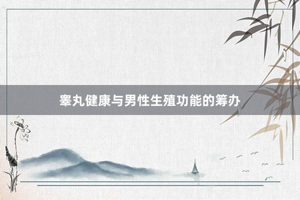 睾丸健康与男性生殖功能的筹办