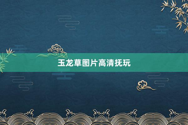玉龙草图片高清抚玩