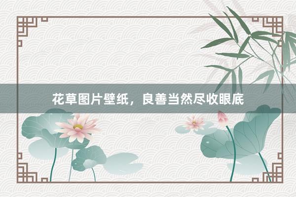 花草图片壁纸，良善当然尽收眼底